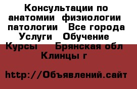 Консультации по анатомии, физиологии, патологии - Все города Услуги » Обучение. Курсы   . Брянская обл.,Клинцы г.